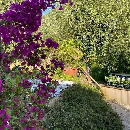 Villino Mami Con Piscina Holiday home